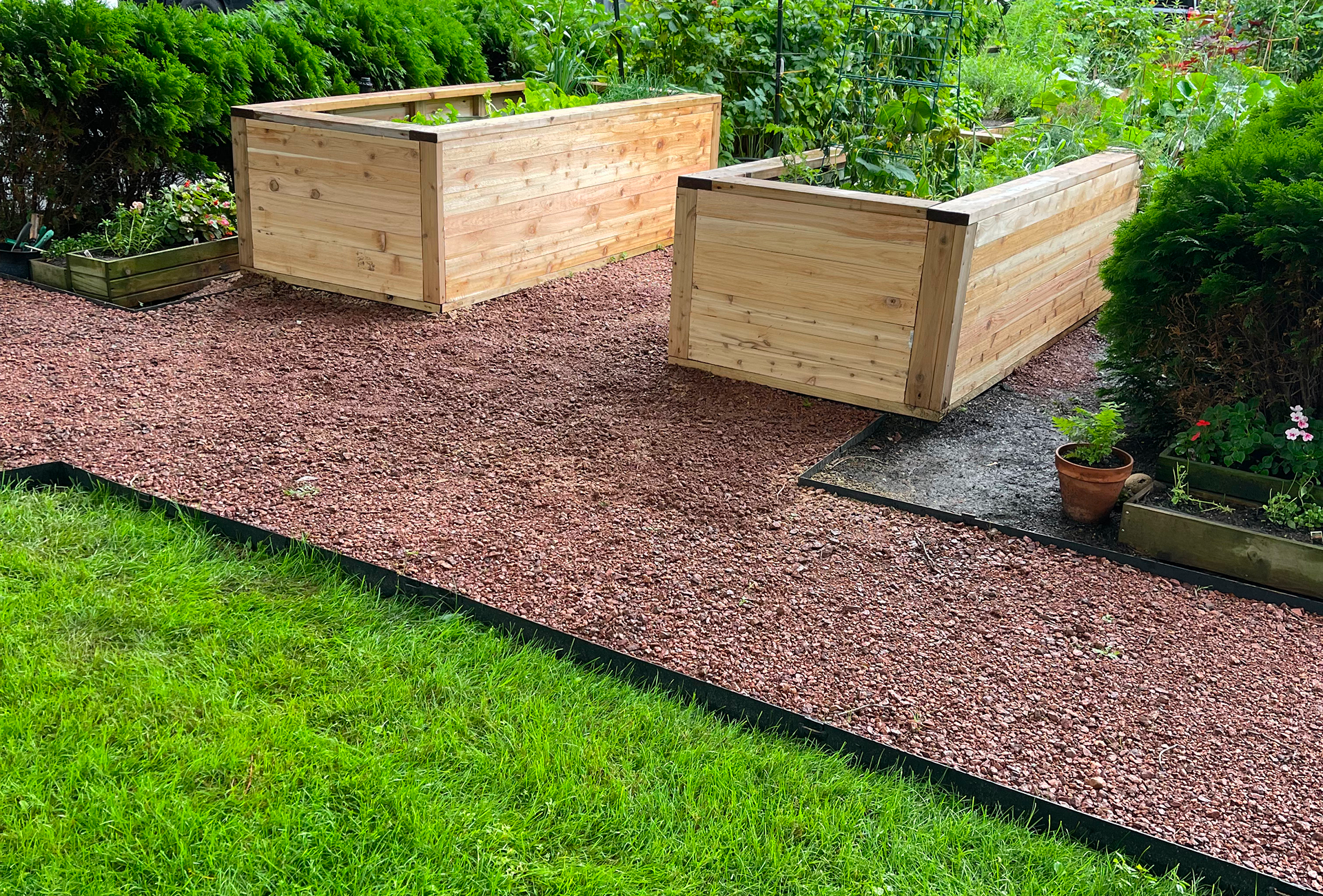Two wooden raised garden beds with fresh soil on a mulch path.